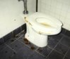 shitty toilet.jpg