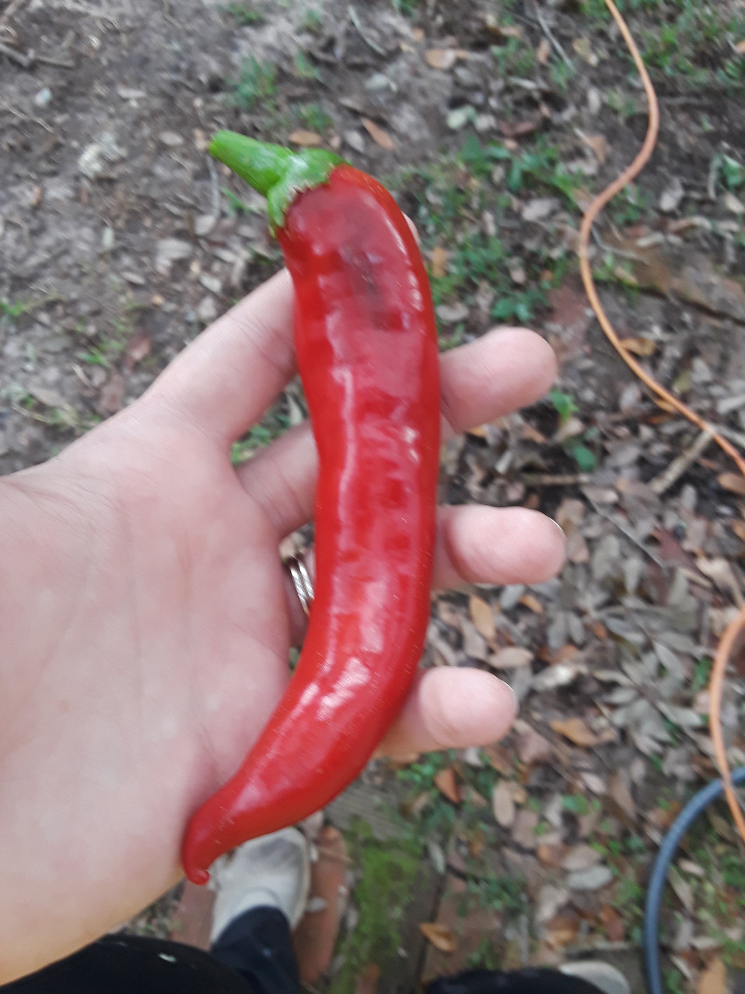 20171021_081339.jpg