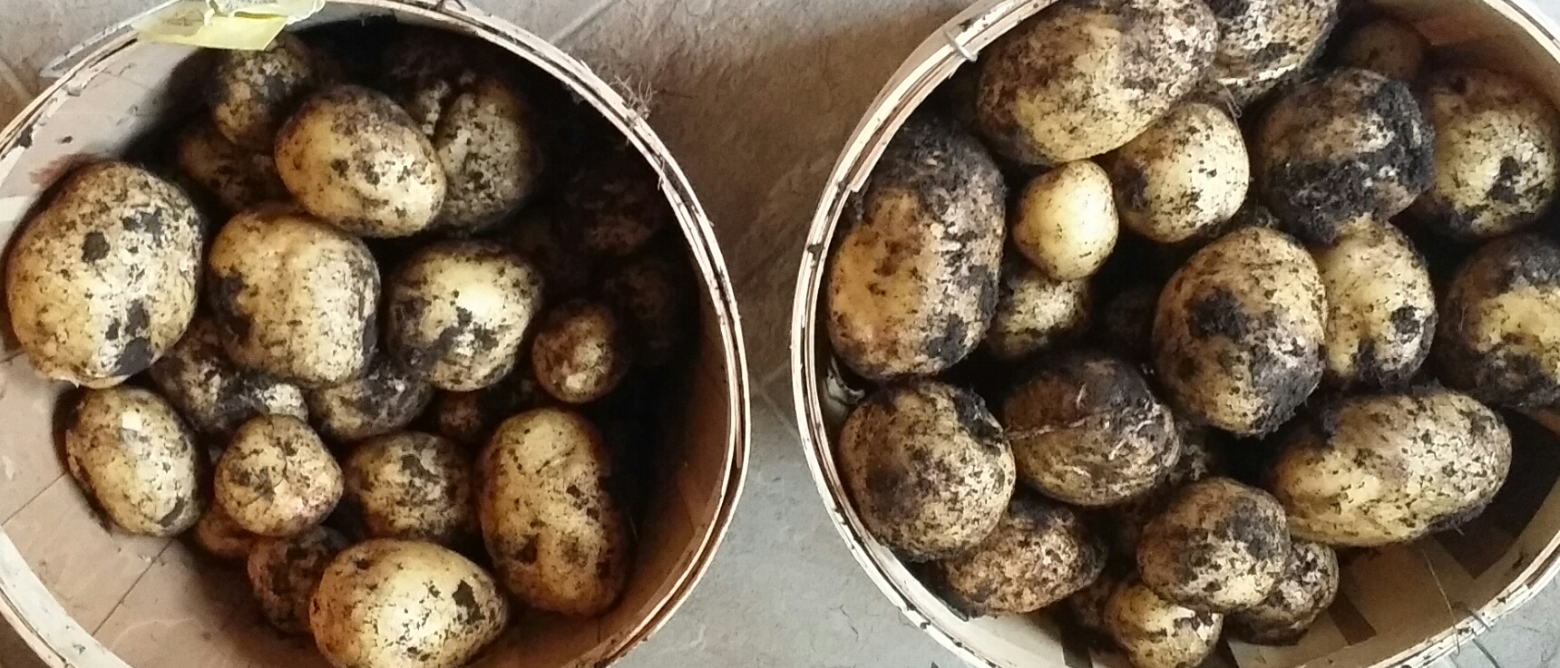 20180803_110441.jpg