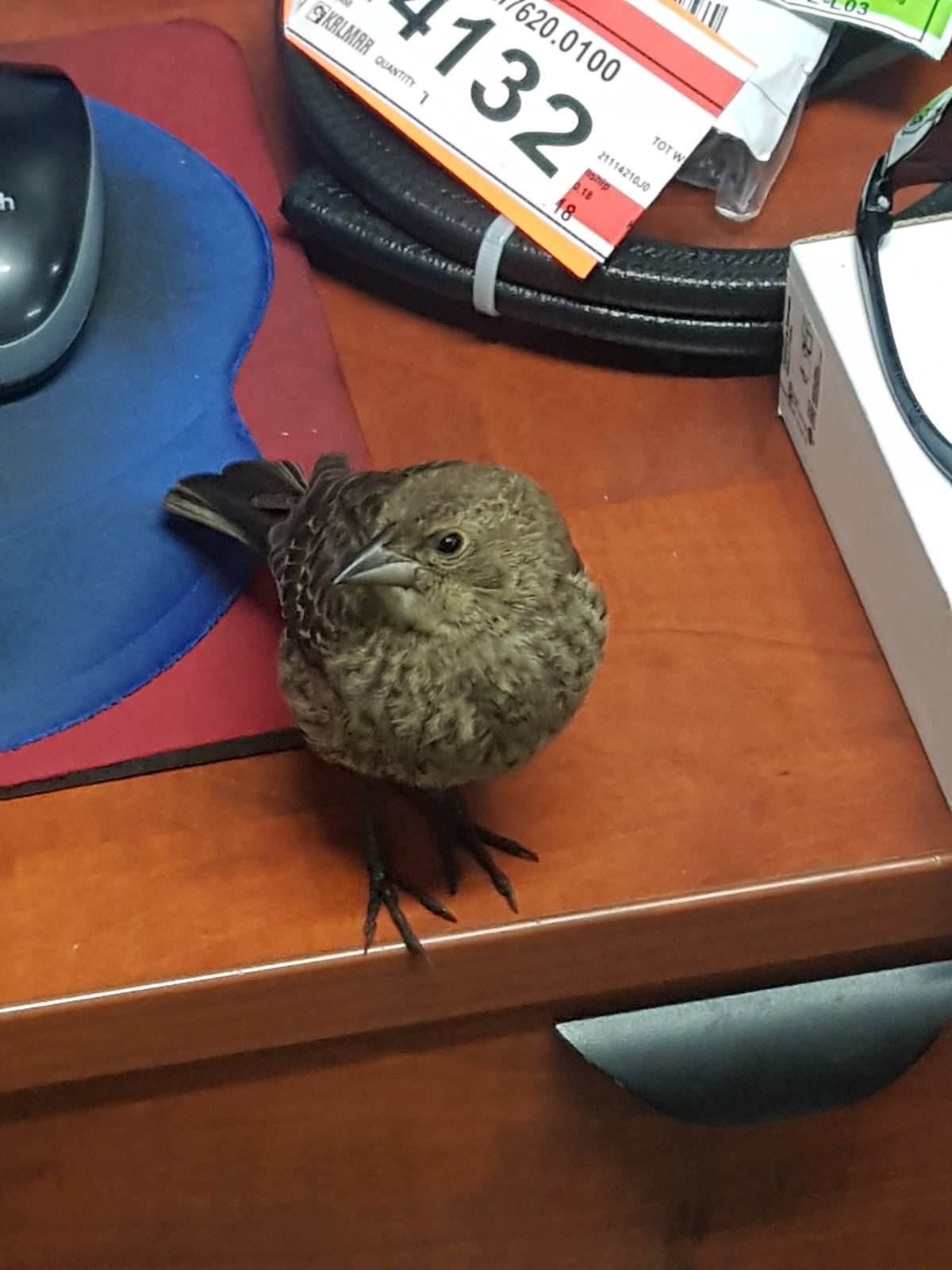 20180917_092820.2.jpg