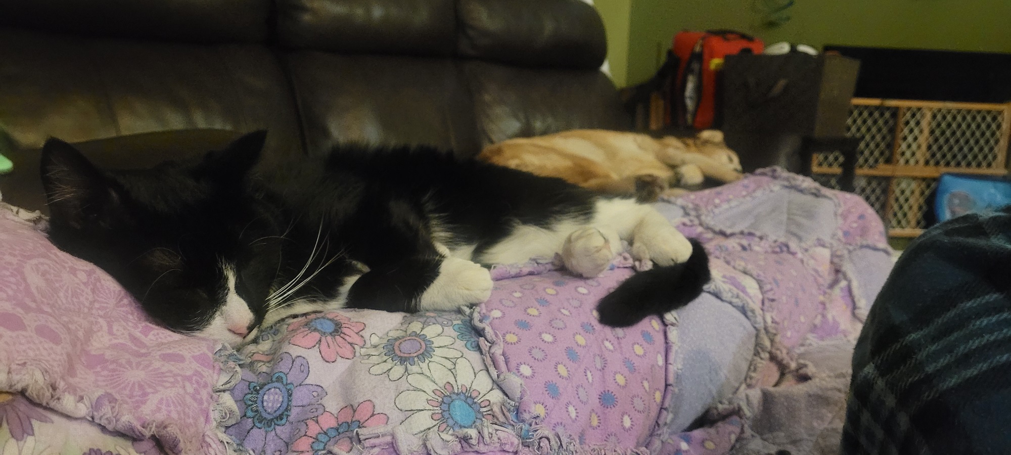 20220131_214954.jpg