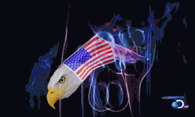 48157-eagle-american-flag-erection-g-uwwr_zpsa7a016f7.gif