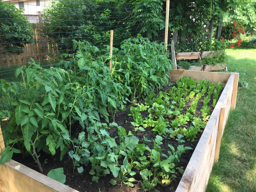 5FBF12D4-CECB-4885-8042-BC9534169EBF.jpeg