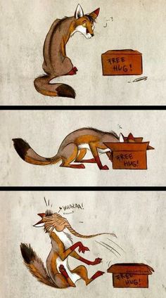 8f492d45bb501340715099cbc99c11e6--fox-pictures-funny-animal-humor.jpg