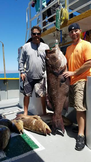 bigassgrouper.png