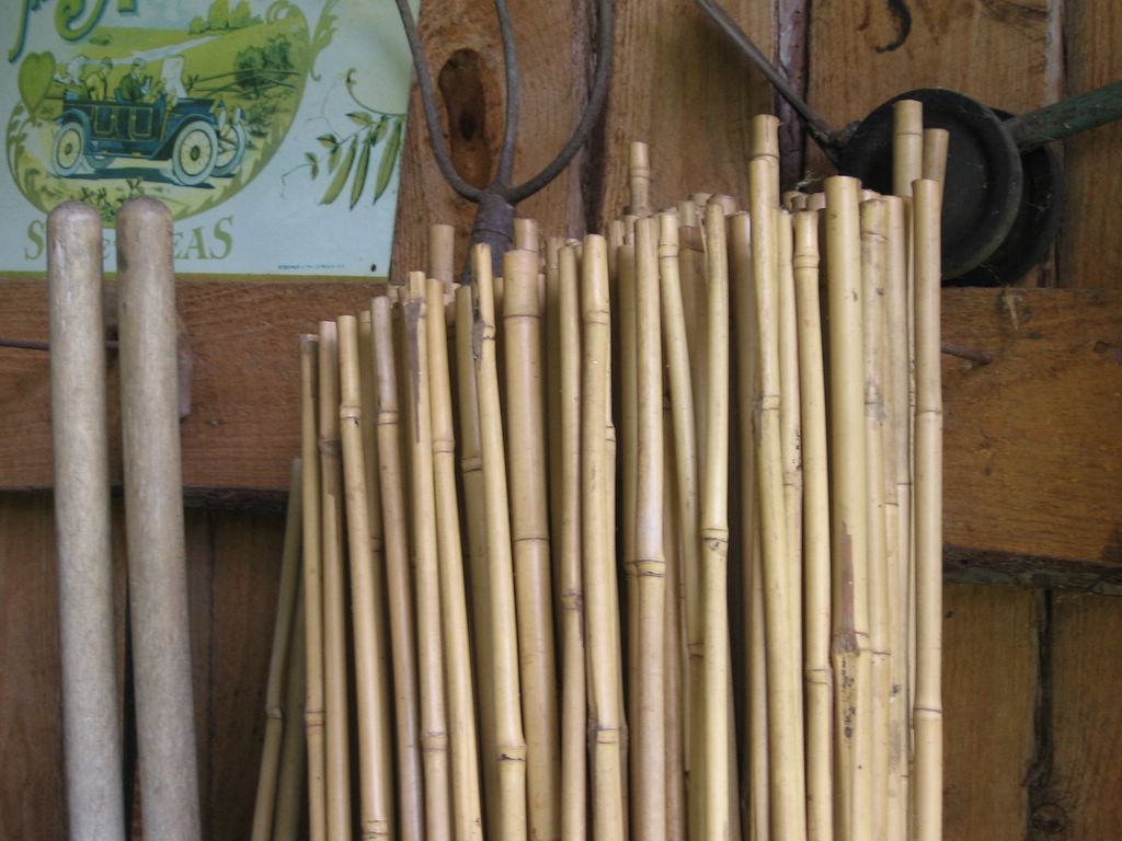 bundle of bamboo stakes.jpg