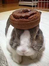 BunnyDonut.jpg