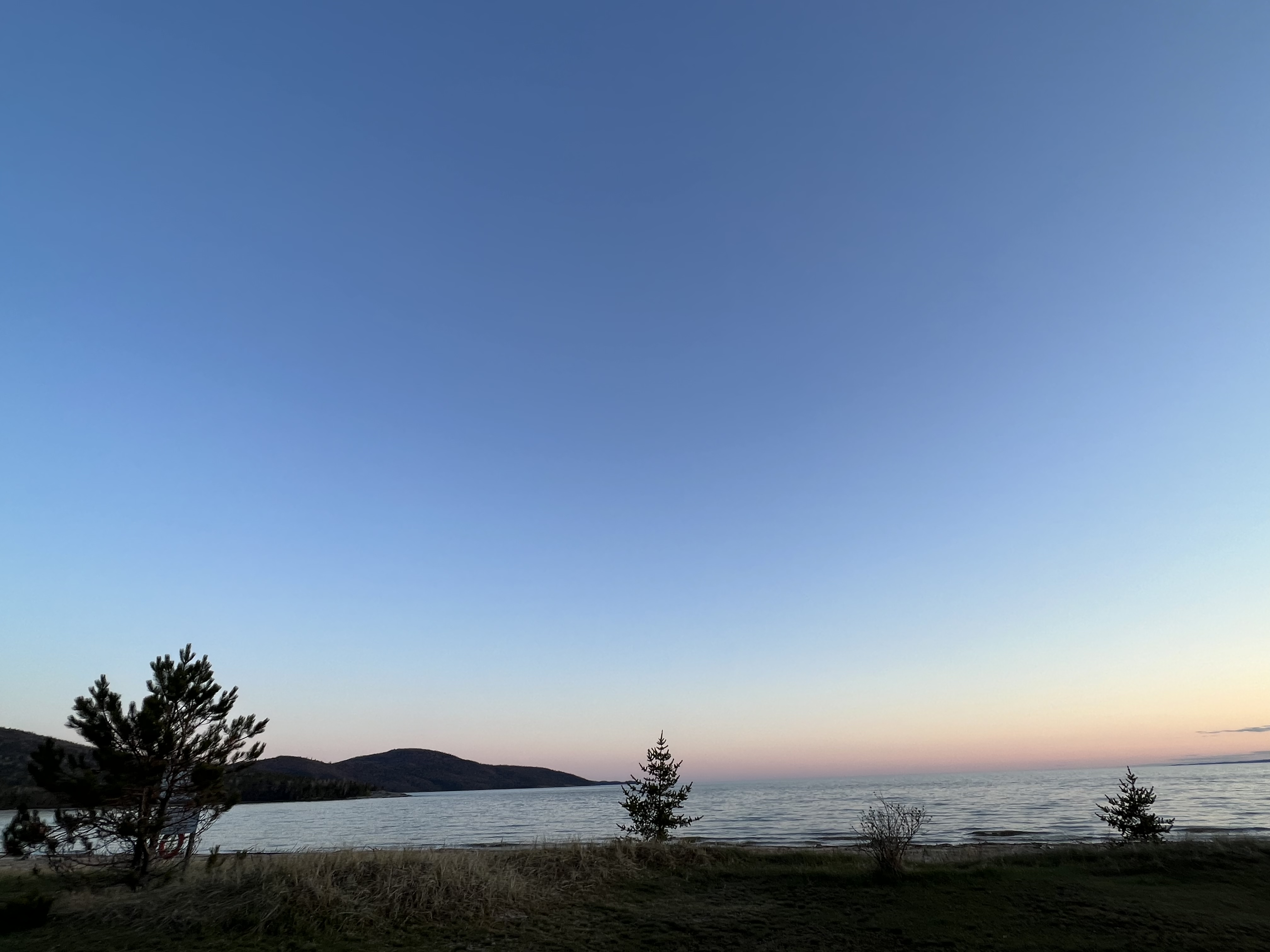 C6A4D34C-A181-48E9-A6B4-1C78624C8726.jpeg