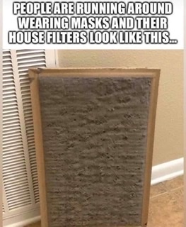 D06F23C3-0B85-444A-A174-07F169FCE380.jpeg