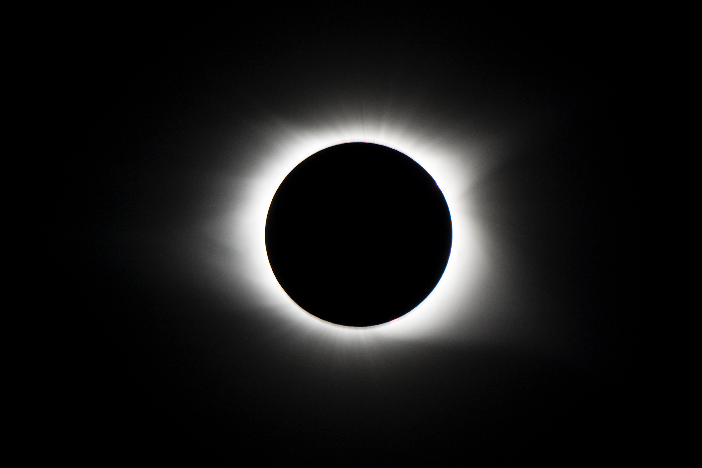 D71_2547.jpg