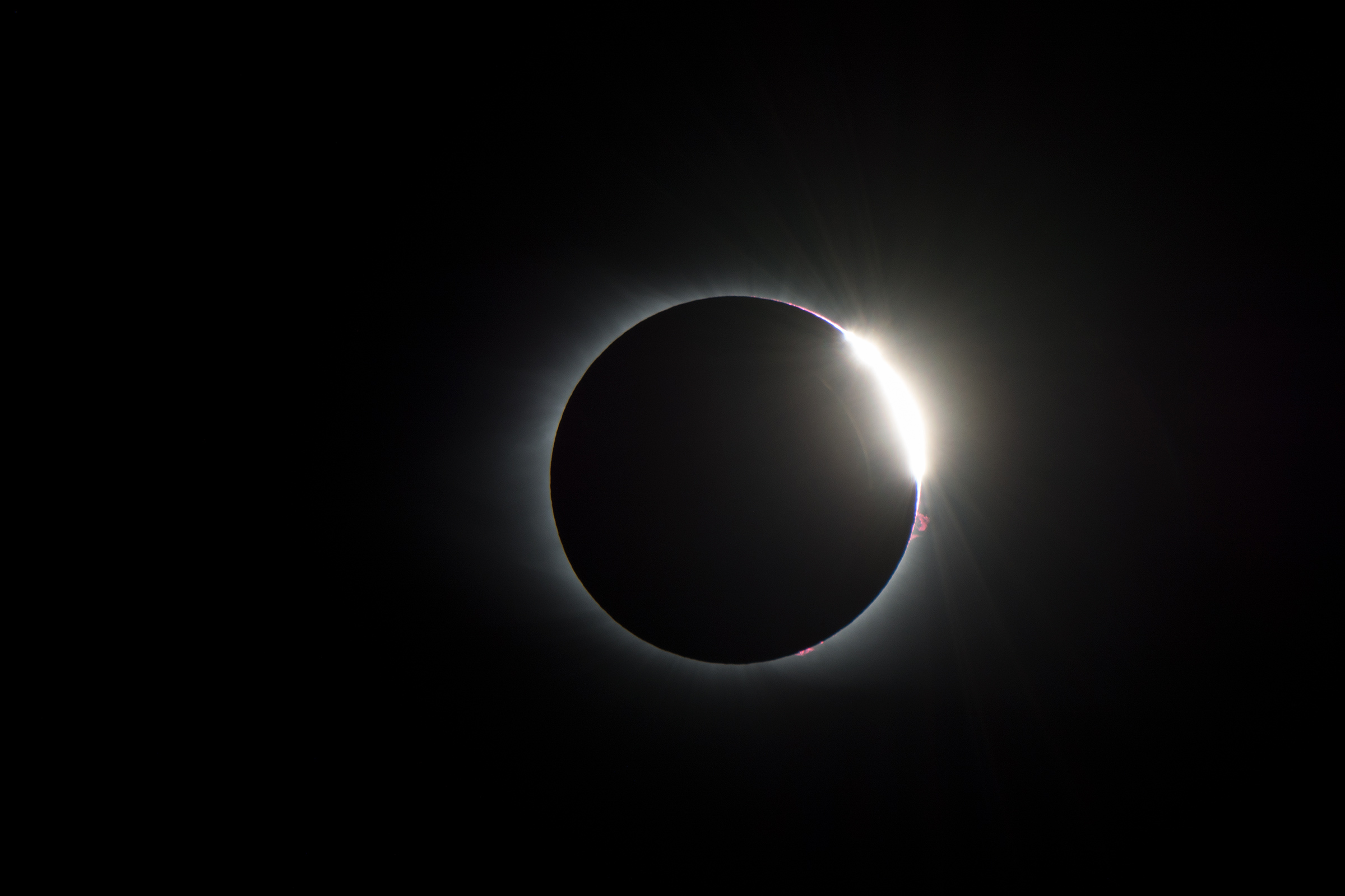 D71_2559.jpg