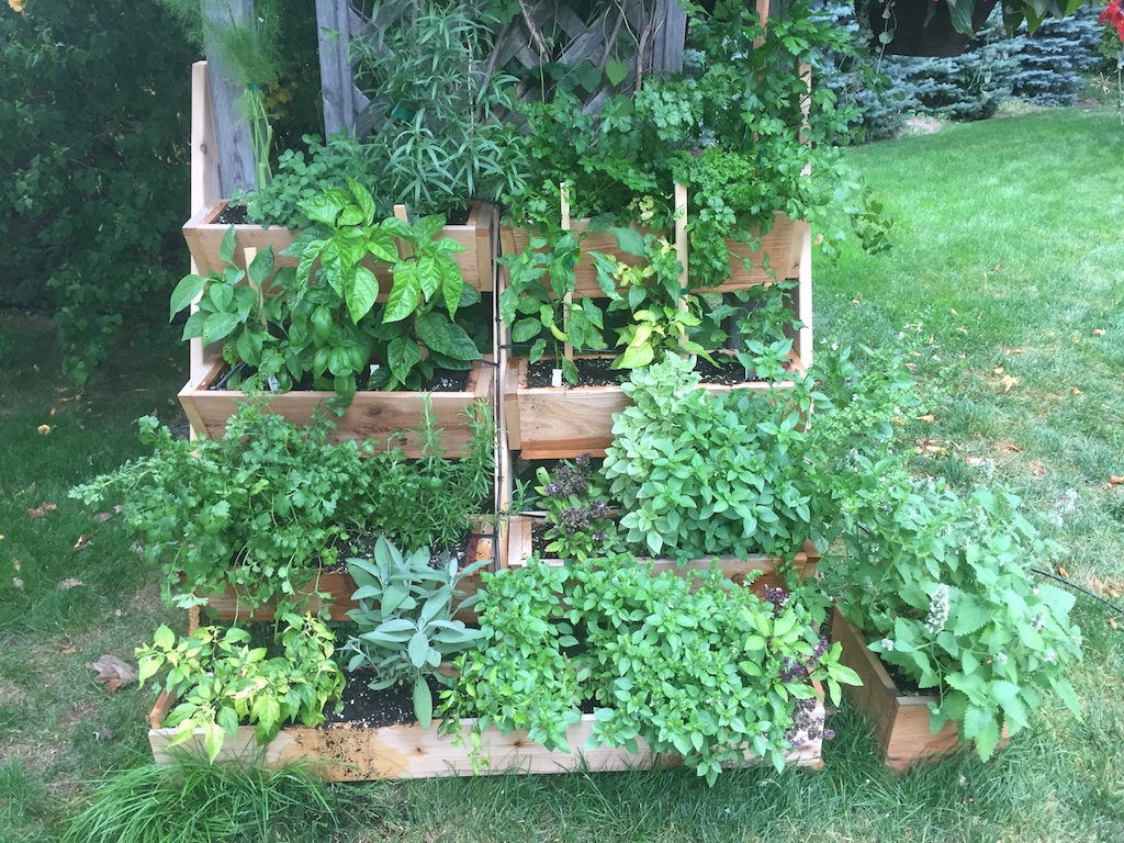 garden-004.jpg