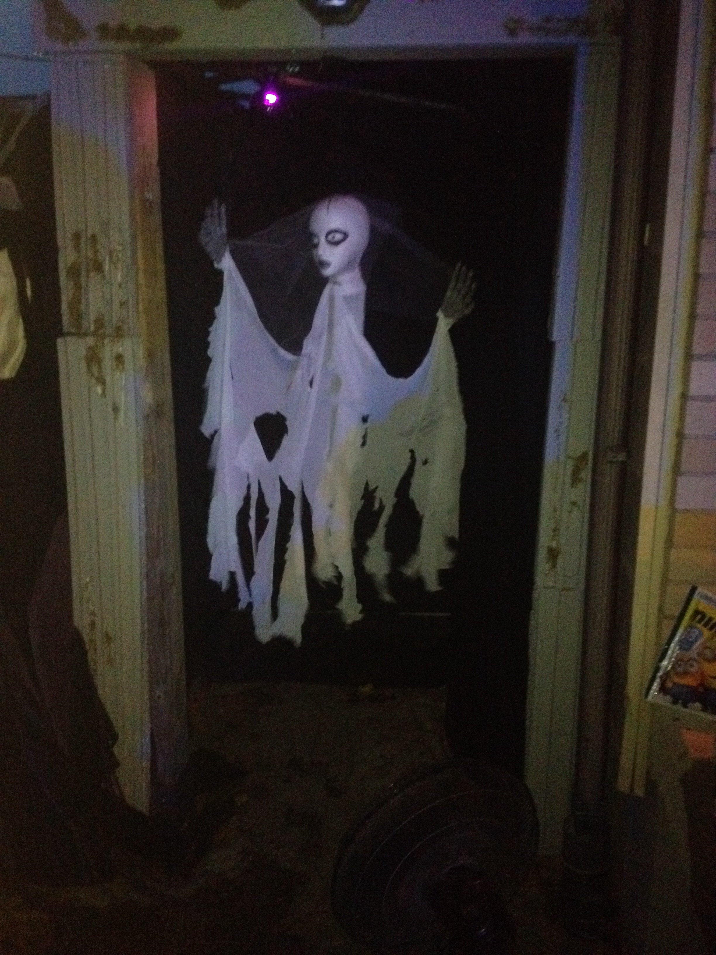 image.jpg