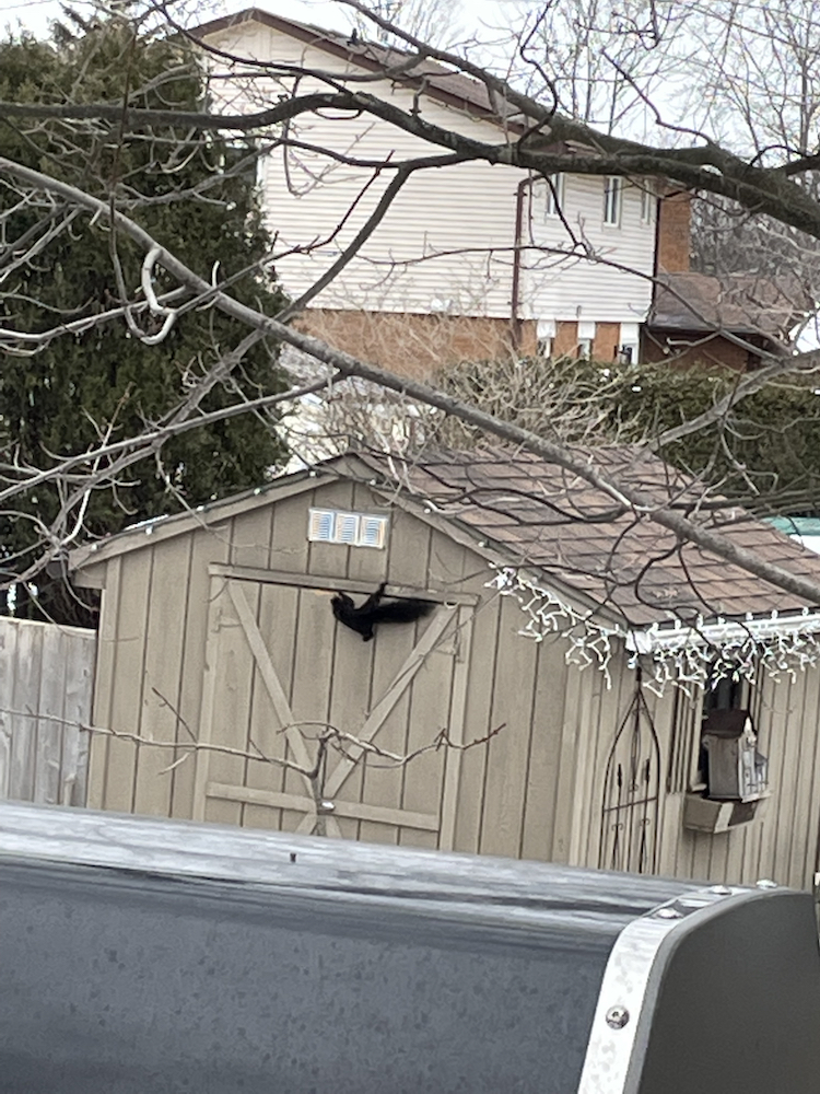 IMG_5481.jpeg