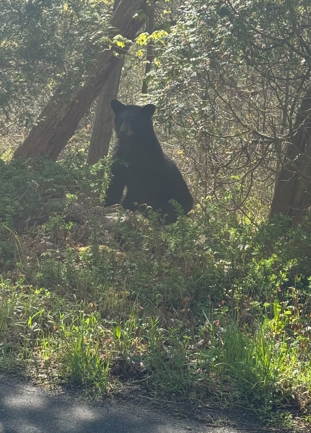 IMG_7576.jpeg