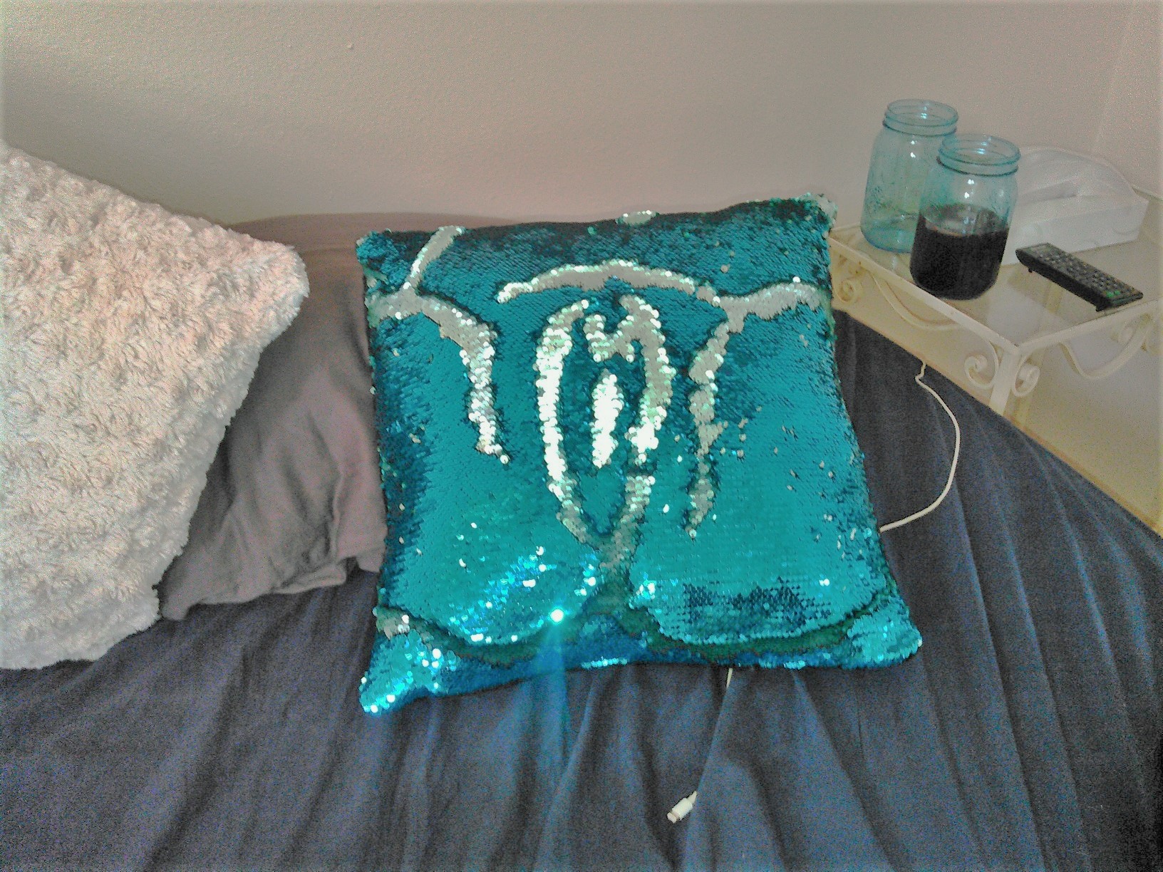 KIMG0096[1] - Pillow paint2.jpg