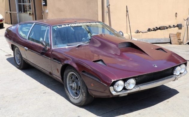 lambo.jpg