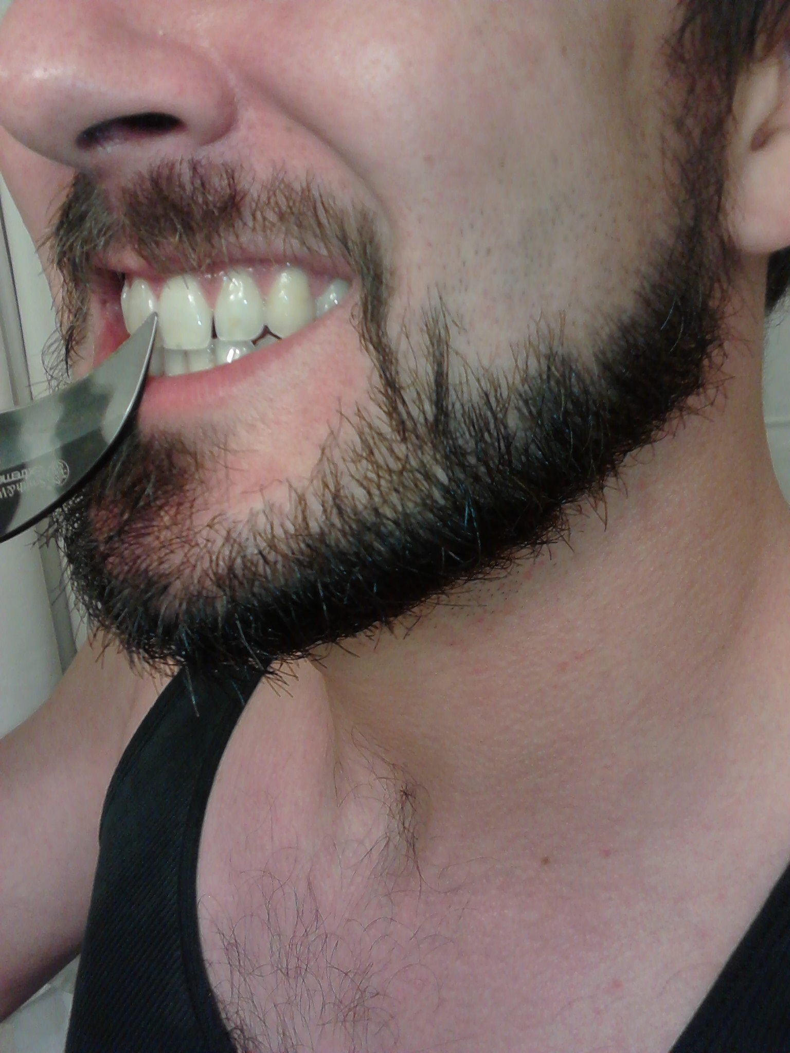 Me - beard closeup.jpg