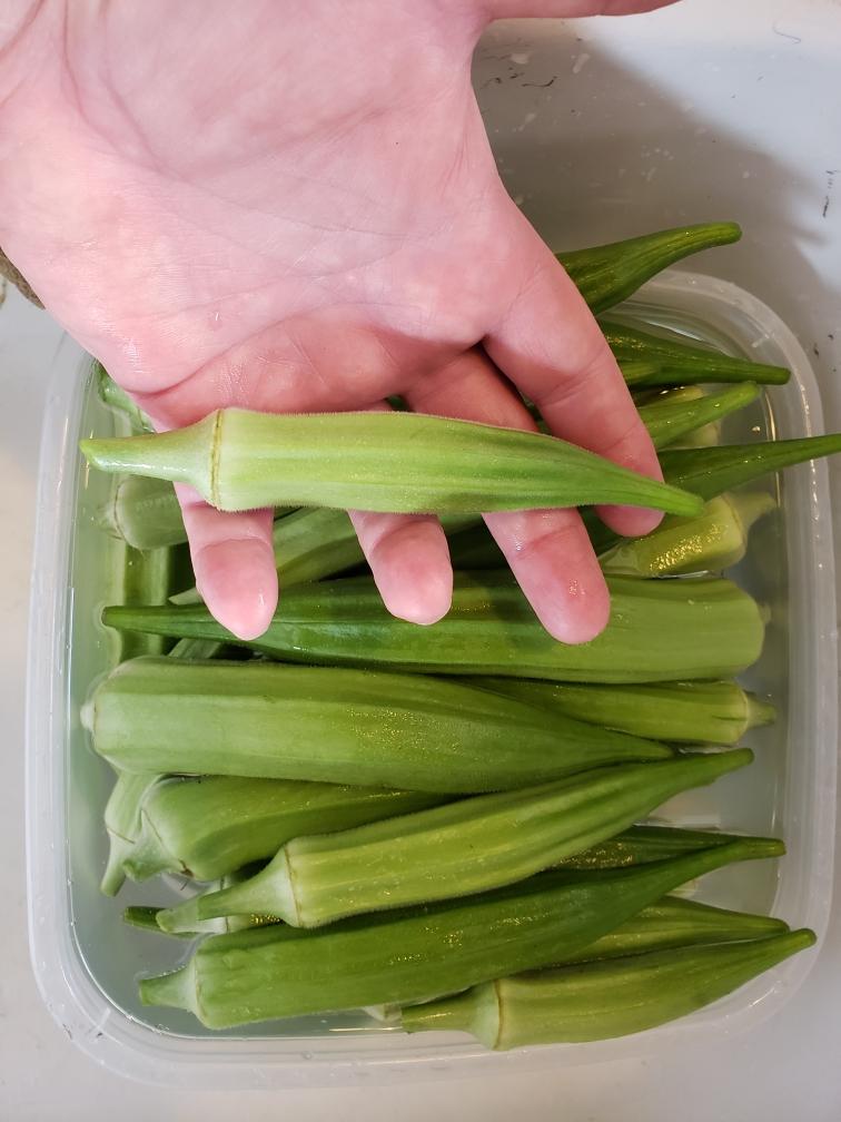 Okra.jpg