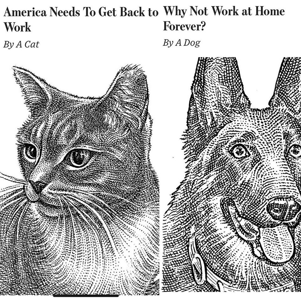 oped.jpg