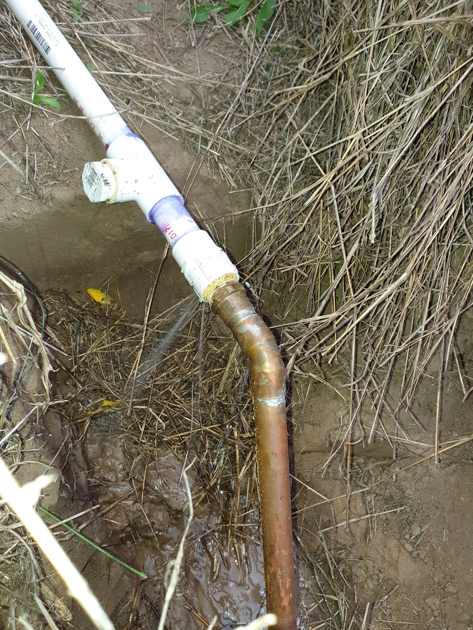 Pipe.jpg
