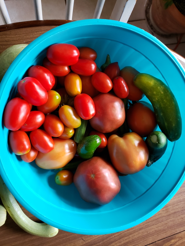 Resized_20190706_124848.jpeg