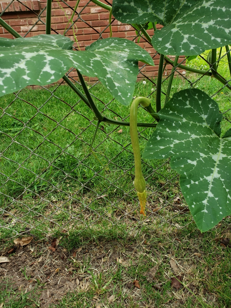 Resized_20190708_175129.jpeg