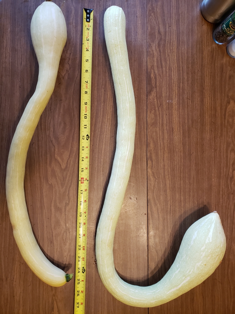 Resized_20190716_201503.jpeg