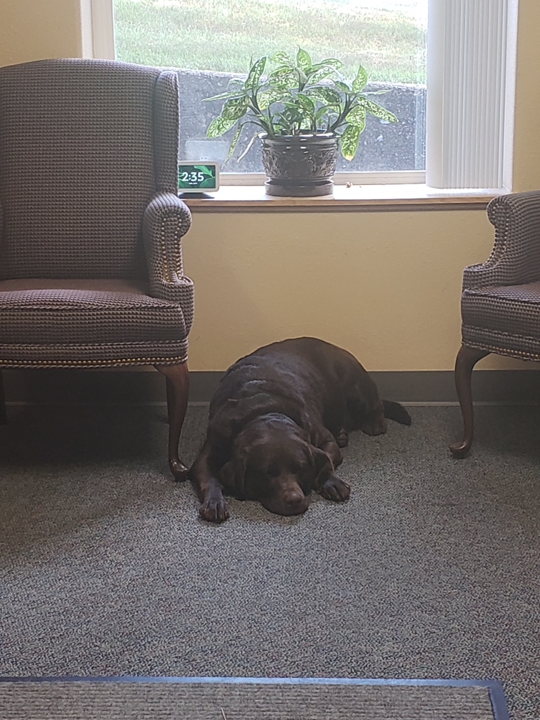 RUCA NAPTIME ON THE JOB.jpeg