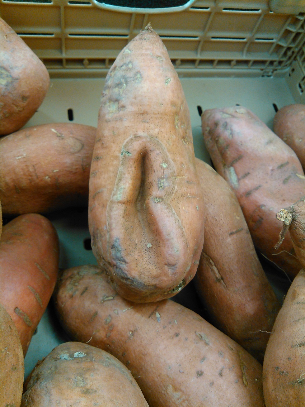 Sexy sweet potato - KIMG0459[1].jpg