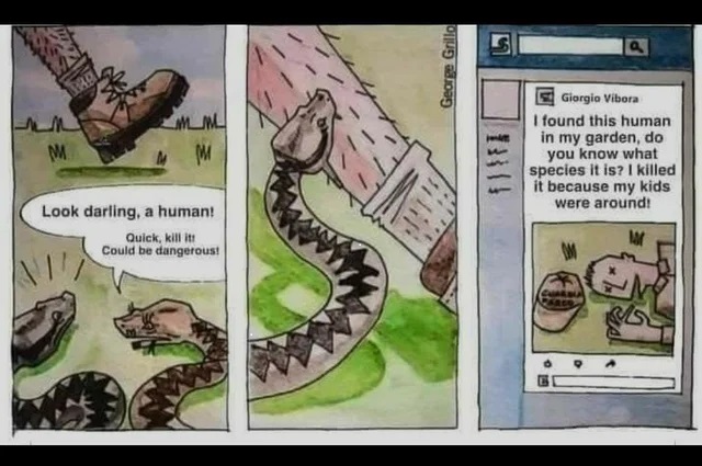 Snake meme2.jpg