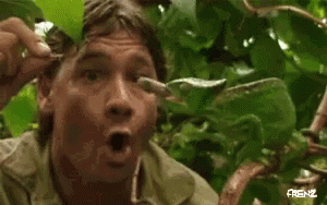 tenor (2).gif