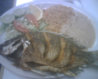 fish 3.jpg