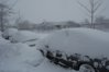 snowresized.jpg