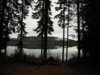 DSCN0280.JPG