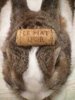 bunny-cork.jpg