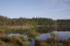 lake.jpg