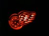 Wings.jpg