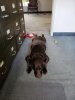 LONG RUCA.jpeg