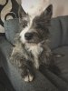 image0 (3).jpeg