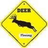 deer.jpg