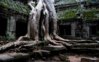 taprohm_small.jpg