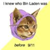 bin laden 911.jpg