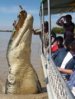 868158-croc-brutus.jpg