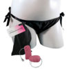 vibe panties.jpg