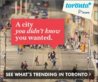 toronto ad.jpg