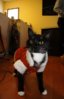 santa tugboat.jpg
