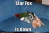 star fox.jpg