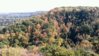 rps20111009_162730.jpg