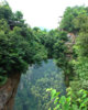 zhangzhajie bridge.jpg